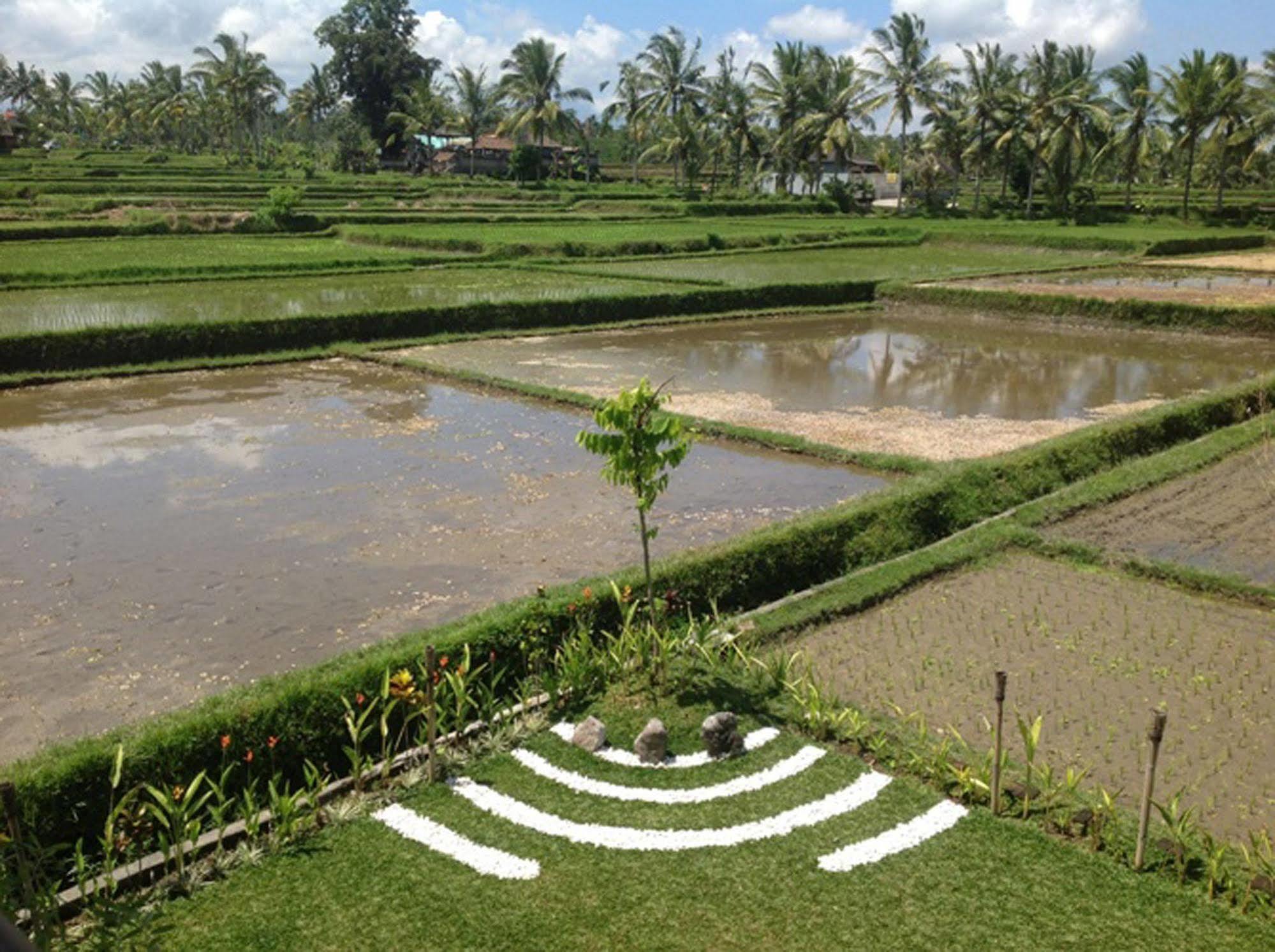 Manyi Village Ubud Exterior foto